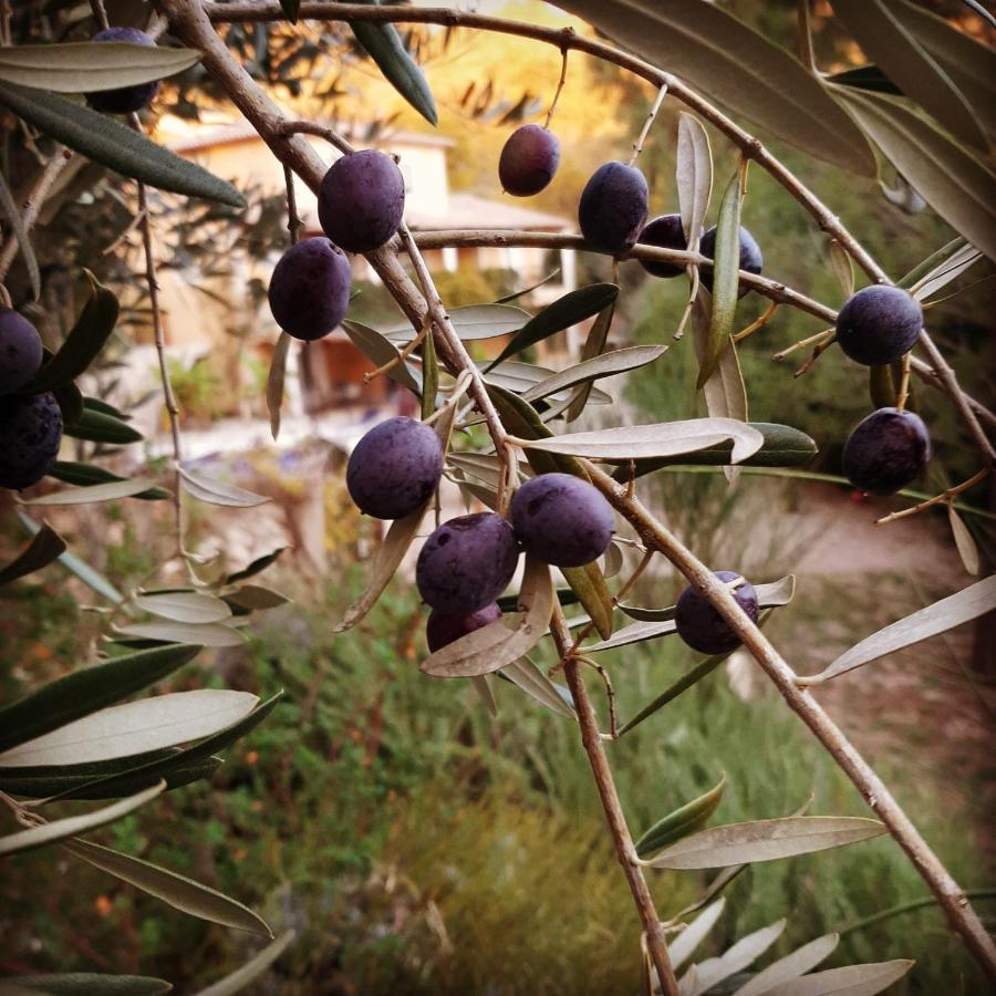 La Villa Jasmin مونتارو المظهر الخارجي الصورة