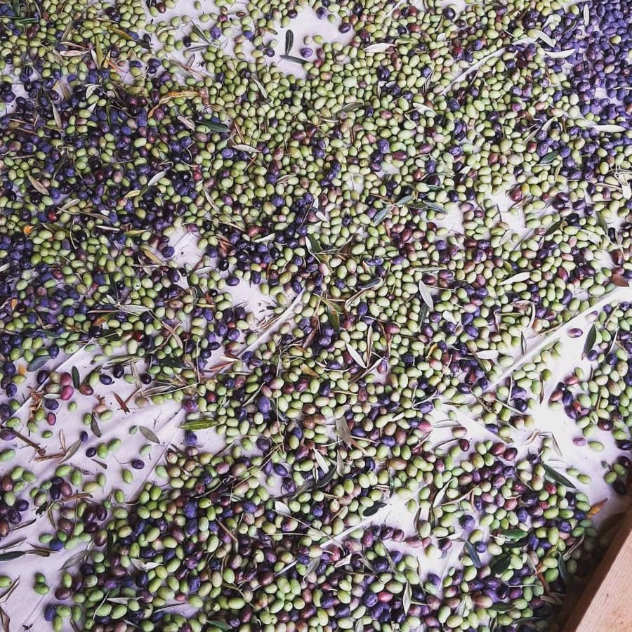 La Villa Jasmin مونتارو المظهر الخارجي الصورة
