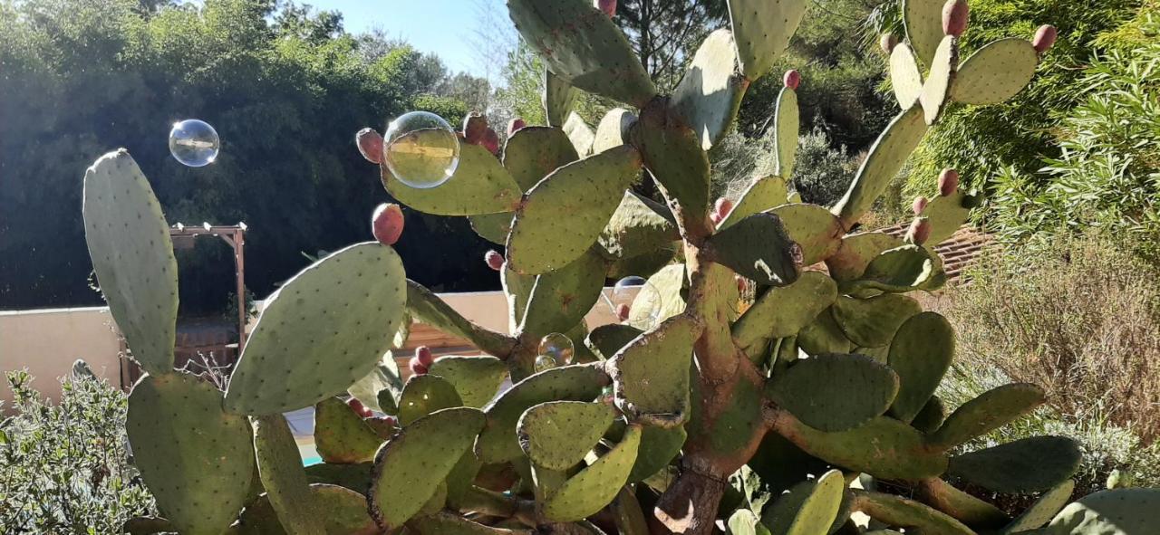 La Villa Jasmin مونتارو المظهر الخارجي الصورة