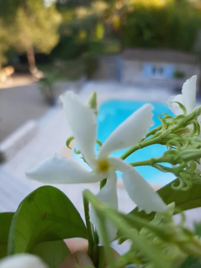 La Villa Jasmin مونتارو المظهر الخارجي الصورة